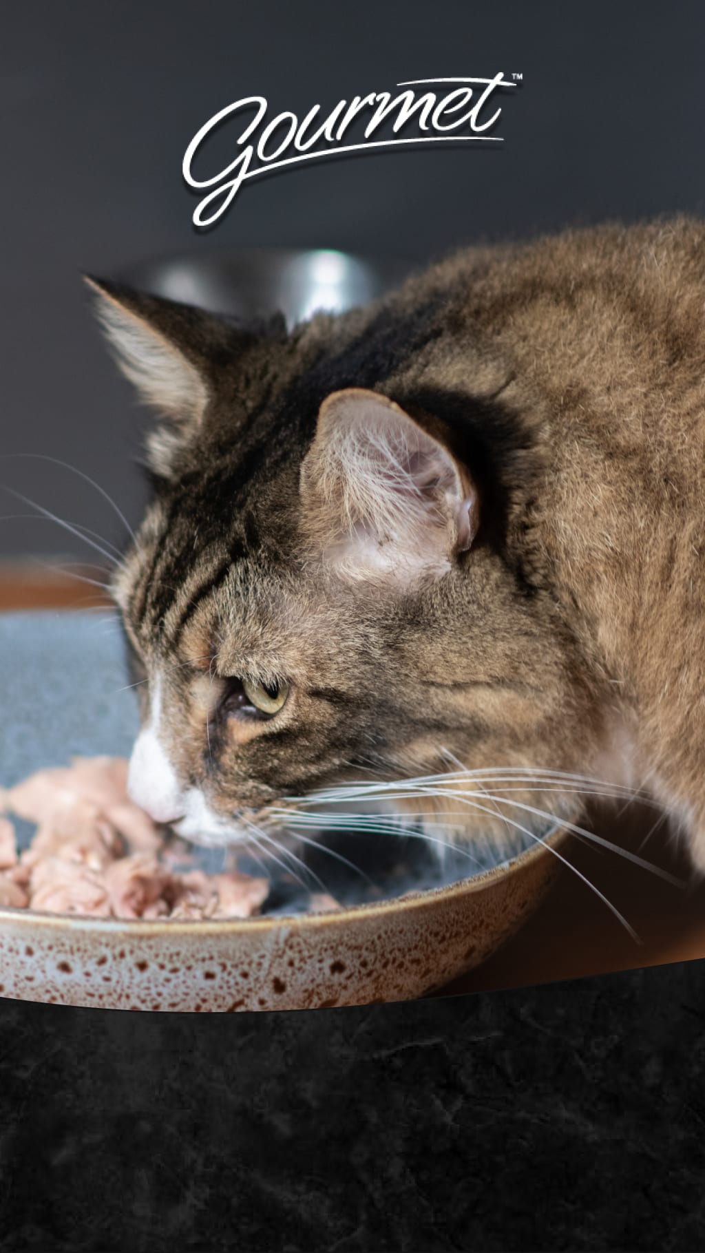 Cat gourmet food discount